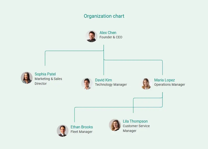 organization chart for box truck business plan