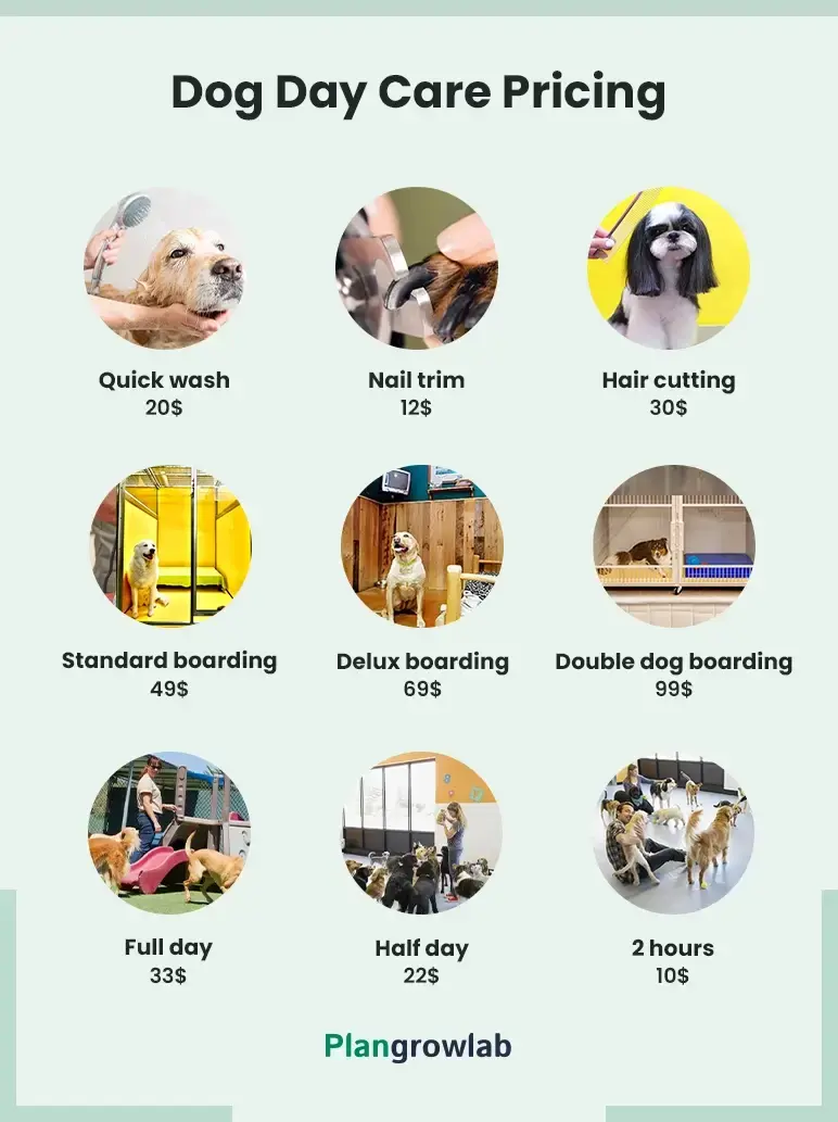 dog day care pricing