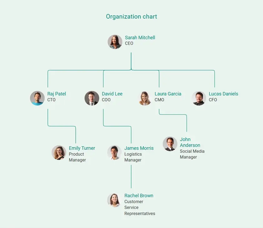 organization chart for management team in business plan