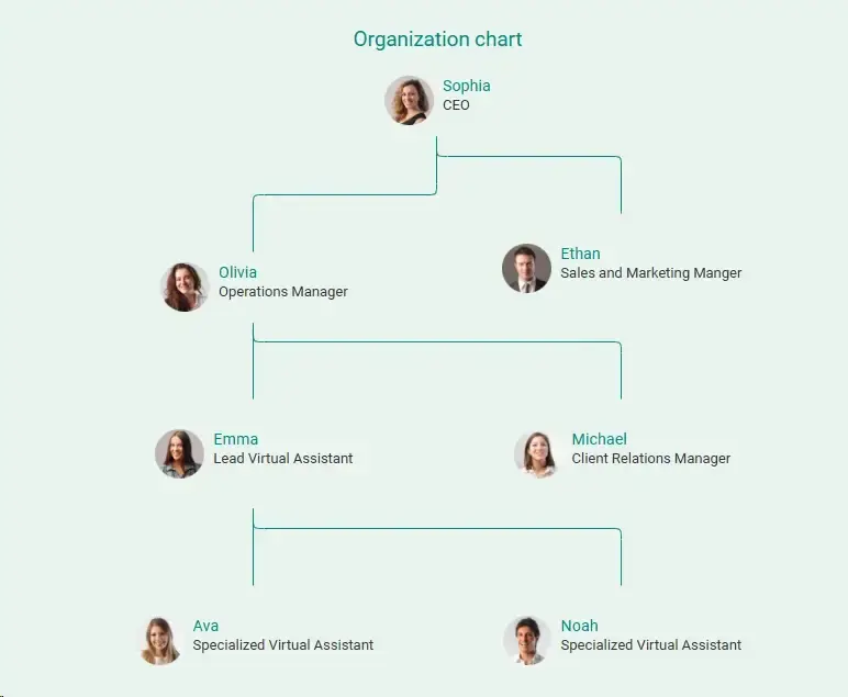 organization chart of virtual assistant