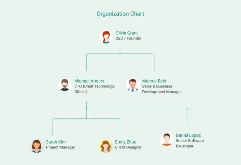 organization chart of software company business plan